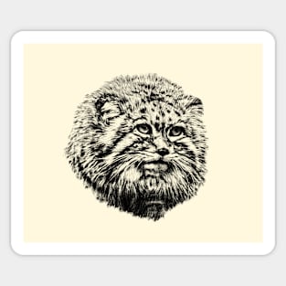 Manul Sticker